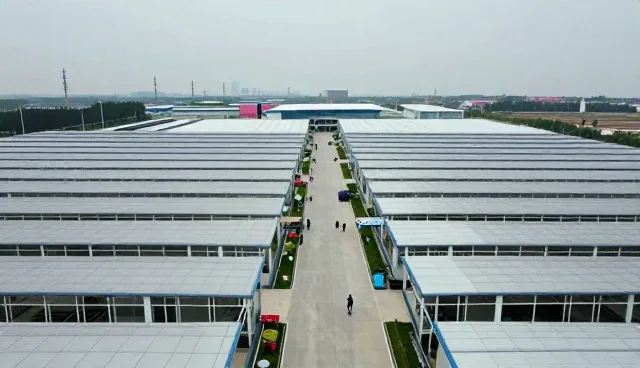 教辅资料包的性能表现与适用场景分析